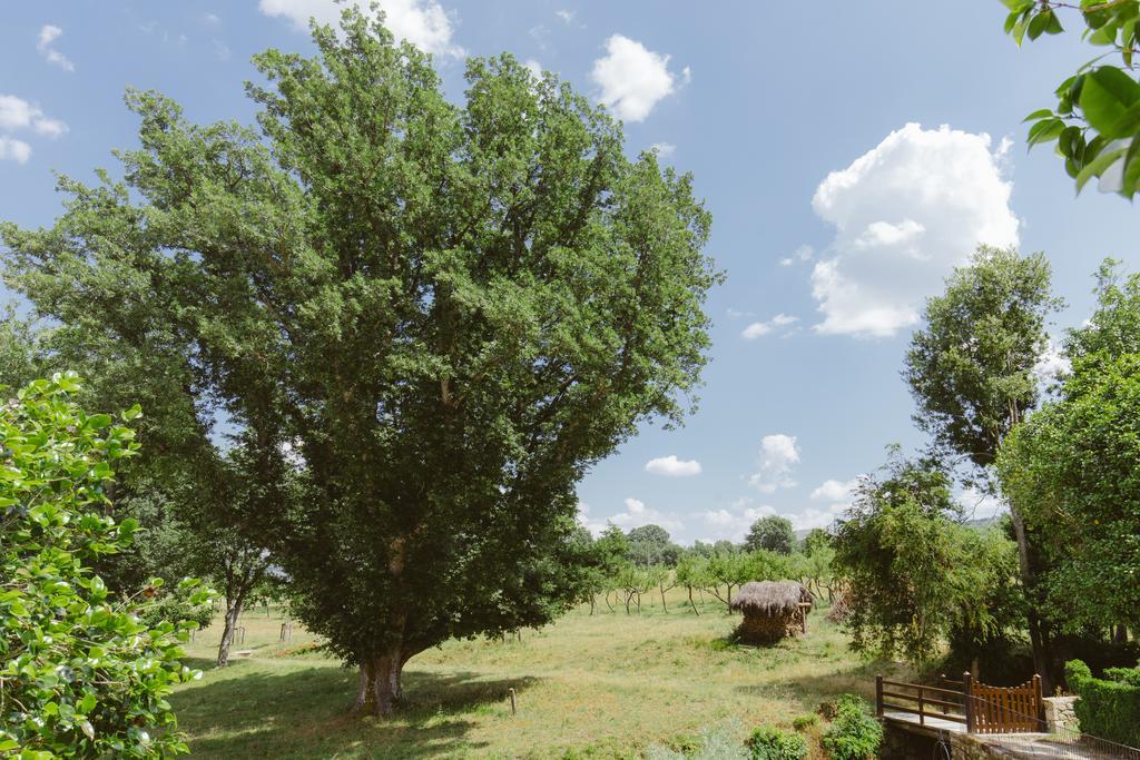 Отель Pazo Da Pena Manzaneda Экстерьер фото